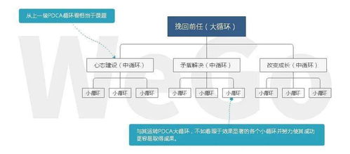 信息技術賦能情感咨詢，構建高效專業服務體系